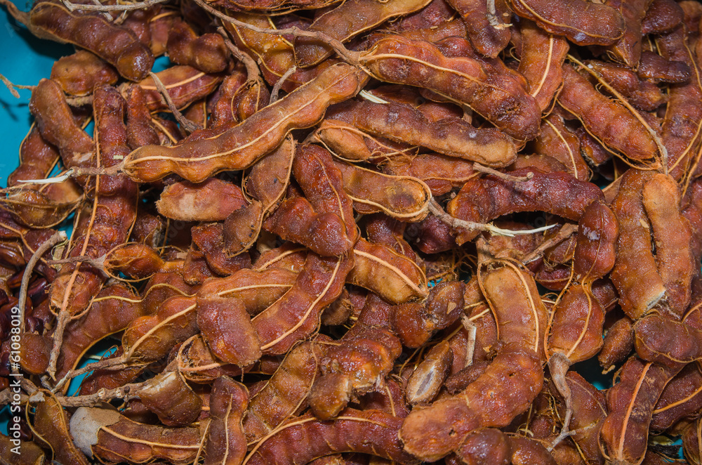 Tamarind Tamarind