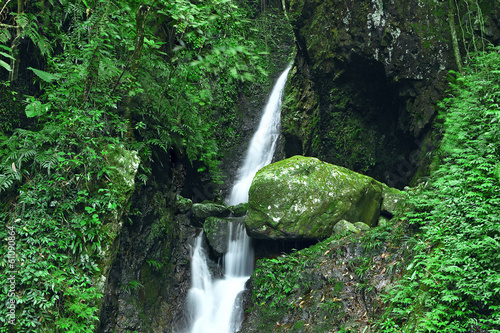 Deep forest waterfall