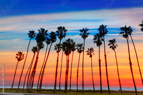 Photos California sunset Palm tree rows in Santa Barbara
