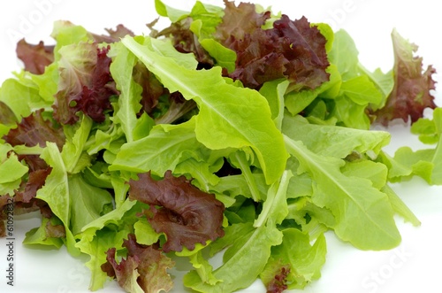 salade verte photo