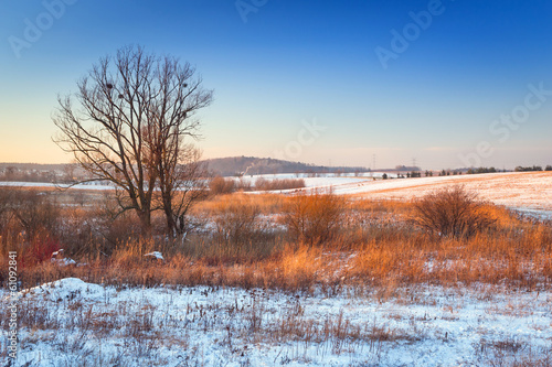 Winter sunset over snowy meadow in Poland