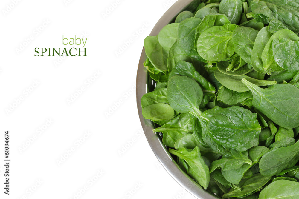 Baby Spinach Baby Spinach