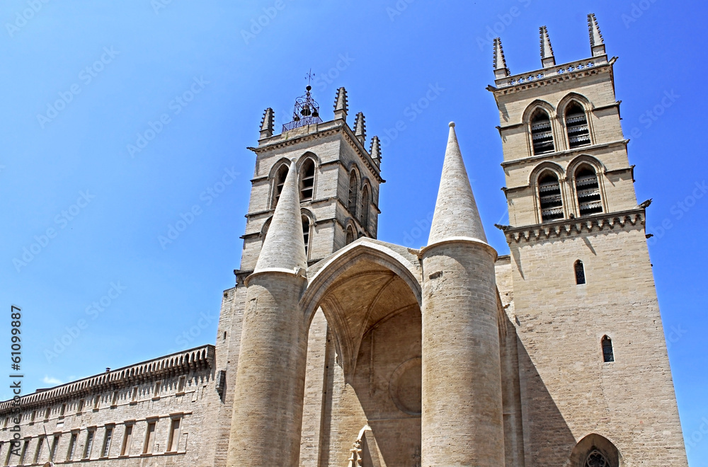 Cathédrale Saint Pierre - Montpellier