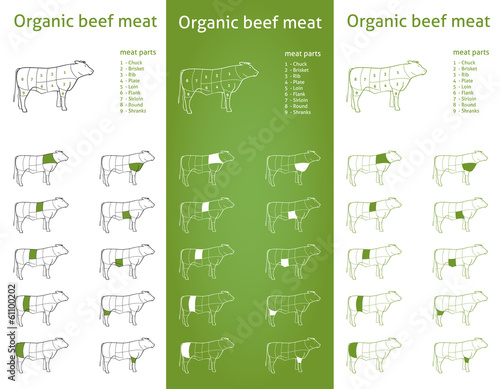 Organic Beef meat parts Icons for packaging and info-graphic 2