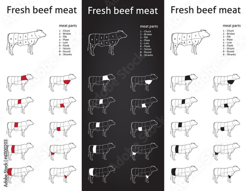 Farm Beef meat parts Icons for packaging and info-graphic 1