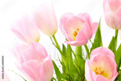 Fototapeta Bukiet różowe tulipany