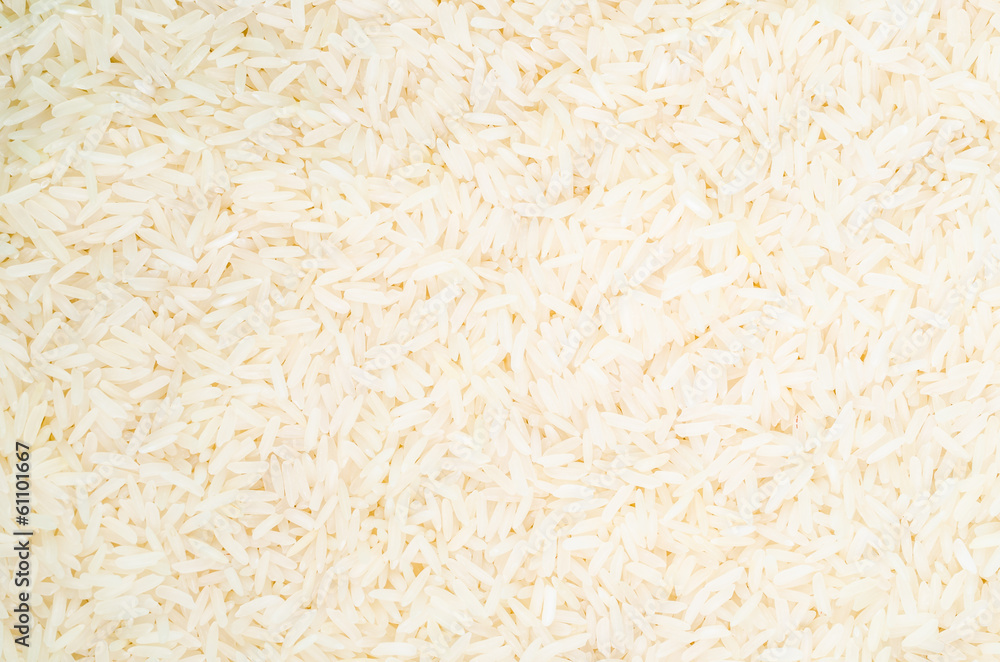 Rice Rice
