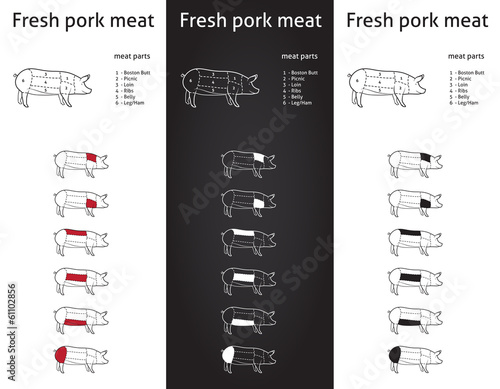Fresh Pork meat parts Icons for packaging and info-graphic 1