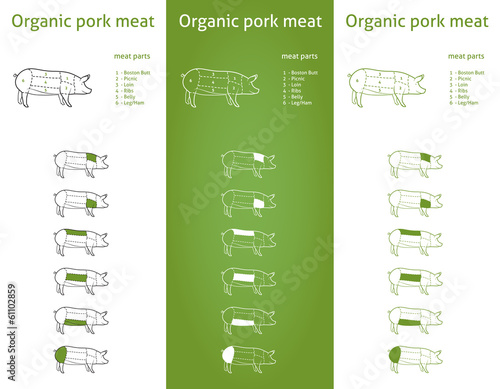 Organic Pork meat parts Icons for packaging and info-graphic 2