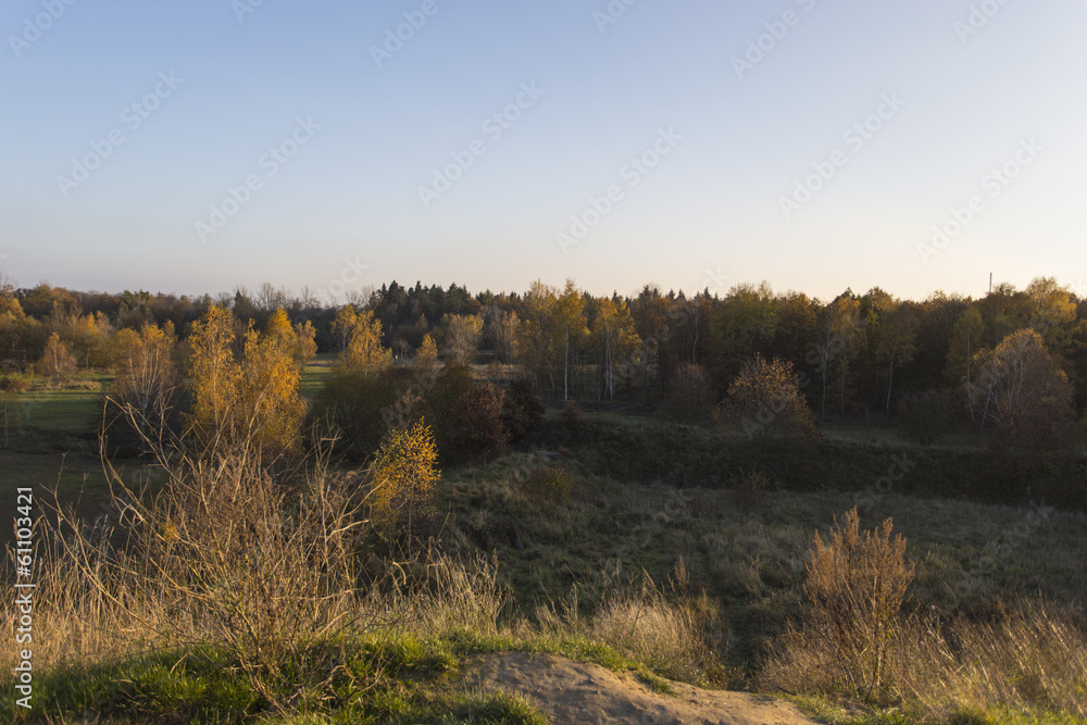 Wald Wald