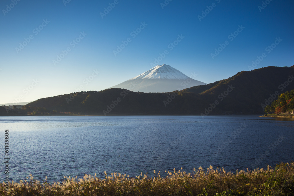 Mount Fuji with lake view