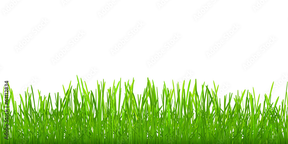 Fototapeta premium Seamless green grass