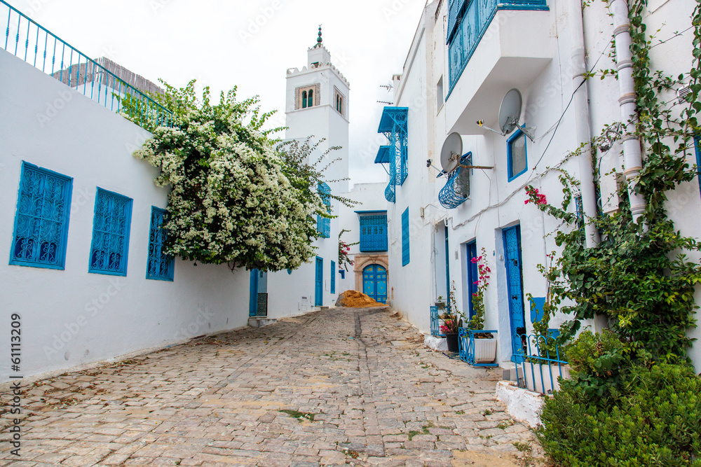 Fototapeten Tunesien Tunesien - Moschee #61113209