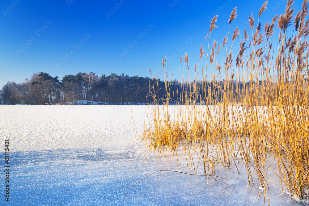 Fototapeta premium Winter scenery of frozen lake in Poland