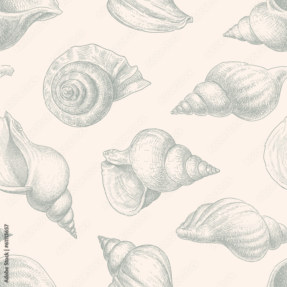 pattern of seashells pattern of seashells