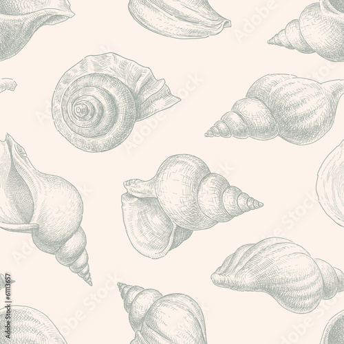 pattern of seashells