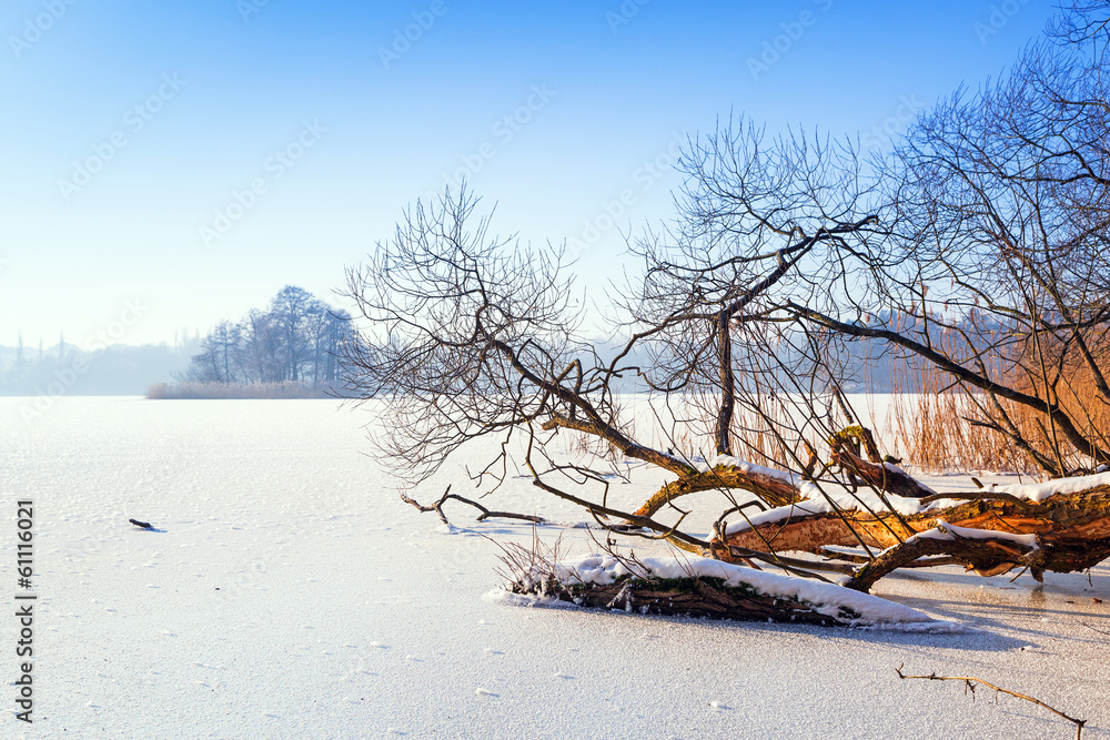 Winter scenery of frozen lake in Poland Winter scenery of frozen lake in Poland