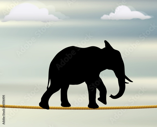 silhouette of African elephant on a rope in the air
