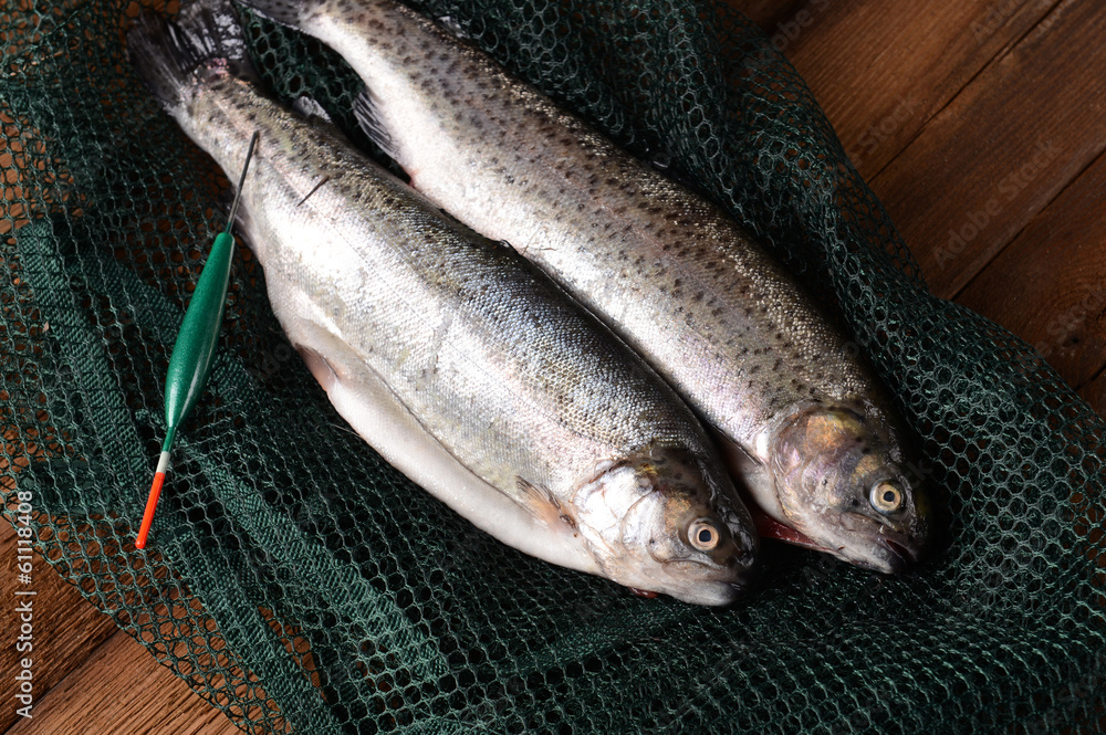 Fresh trout