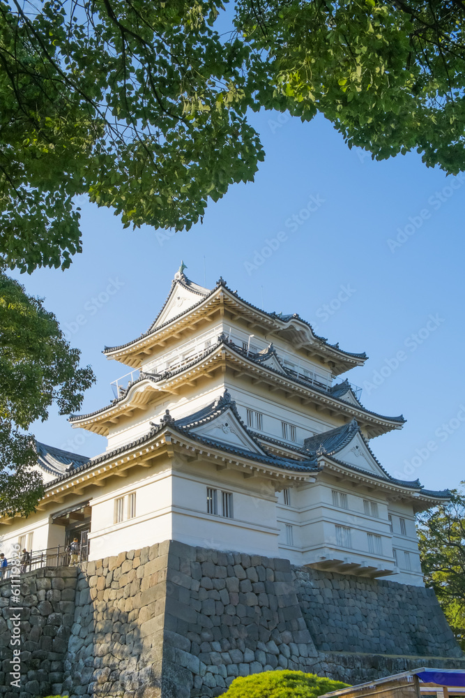 小田原城 小田原城