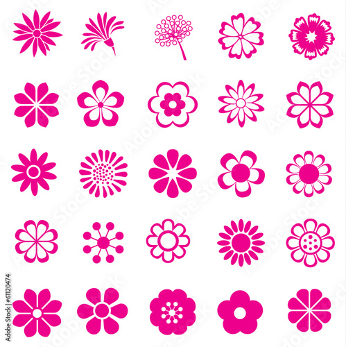 flower vector set