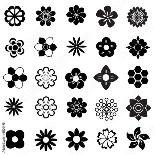 flower vector set