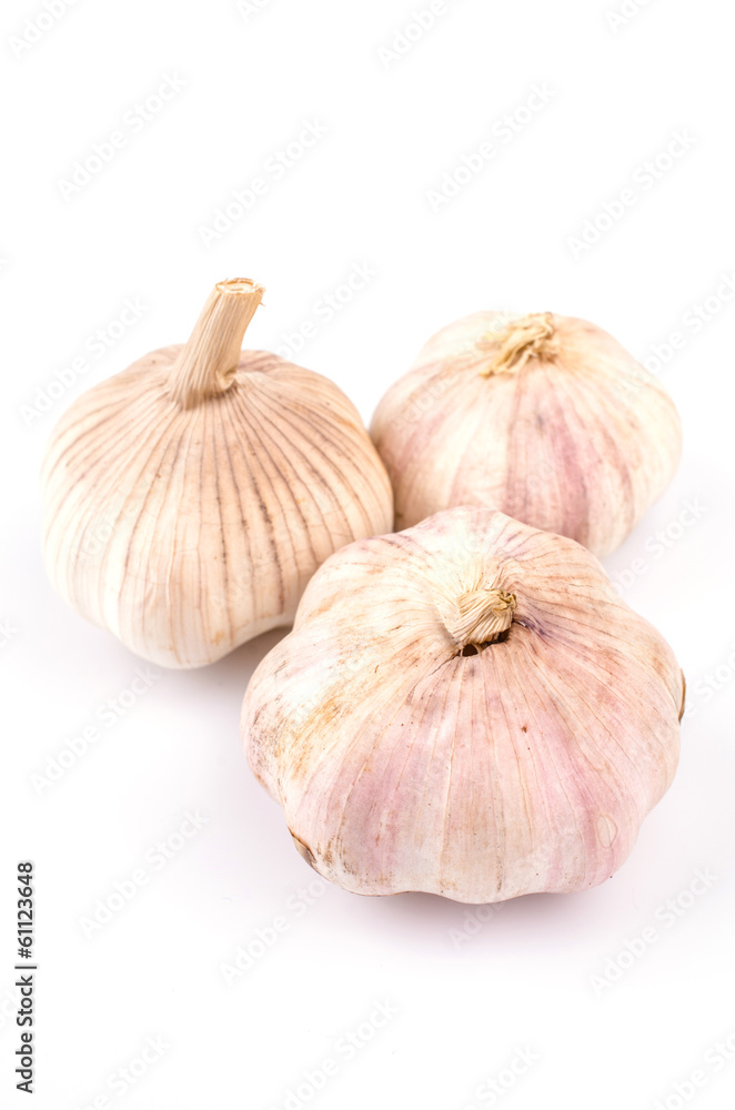 Garlic Garlic
