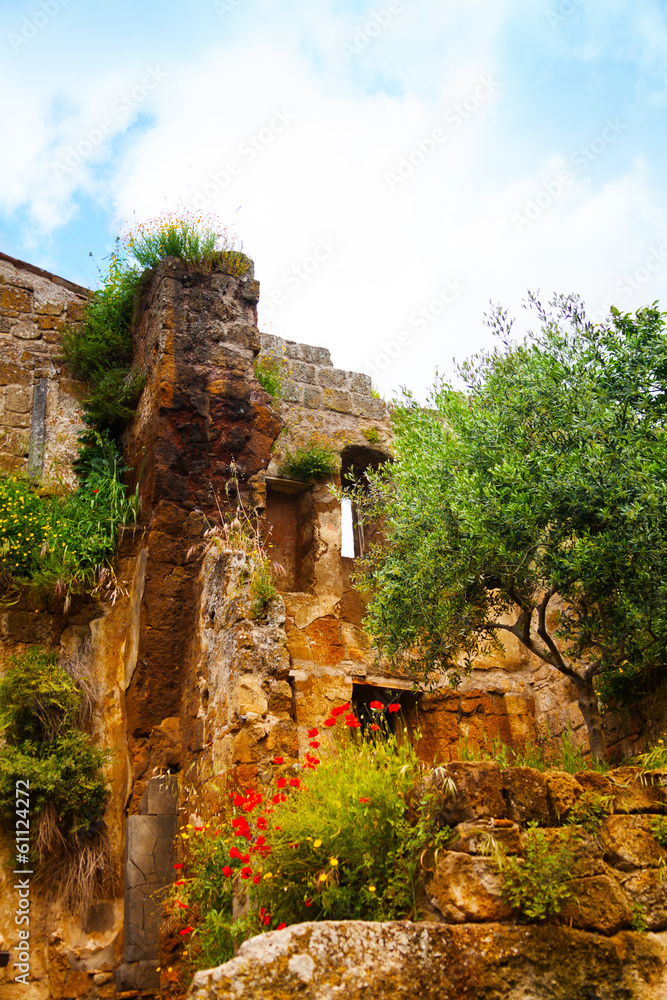 Ruins and flowers in Bagnoregio