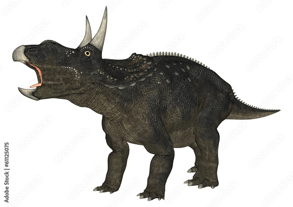 Fototapeta premium Dinozaur Diceratops