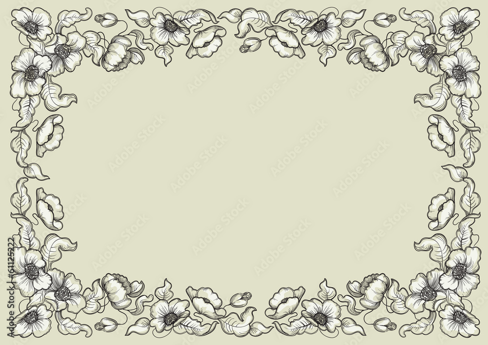 Vector poppy border at color engraving style