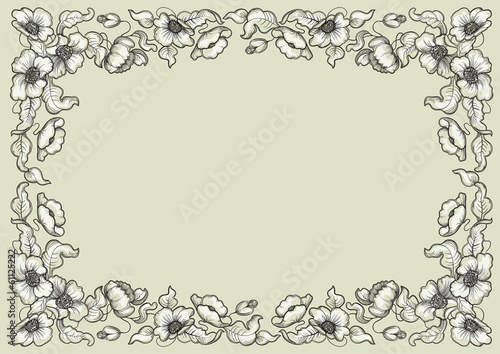 Vector poppy border at color engraving style