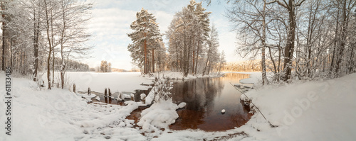 Winter wood lake