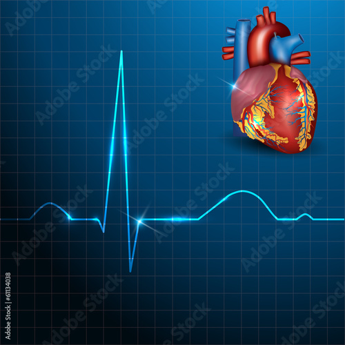 Human heart rhythm on a beautiful blue background with light sha