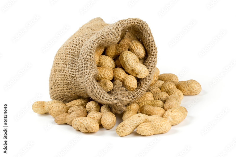 peanuts in a miniature burlap bag isolated on white peanuts in a miniature burlap bag isolated on white