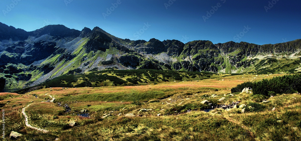Fototapeta premium Dolina Pięciu Stawów