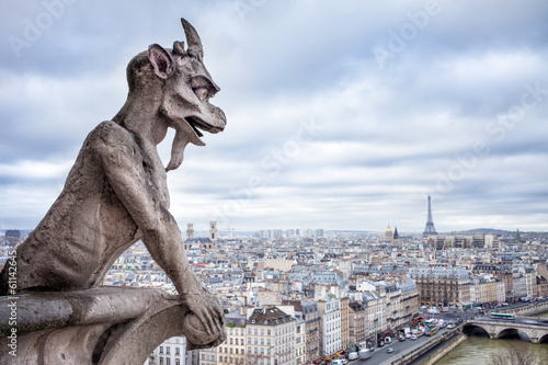 Blick auf Paris vom Notre Dame © eyetronic