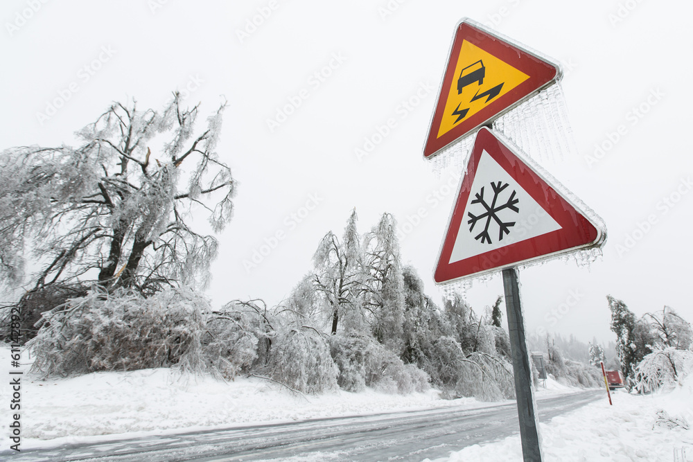 Dangerous and icy road with sleet covered fallen trees Dangerous and icy road with sleet covered fallen trees