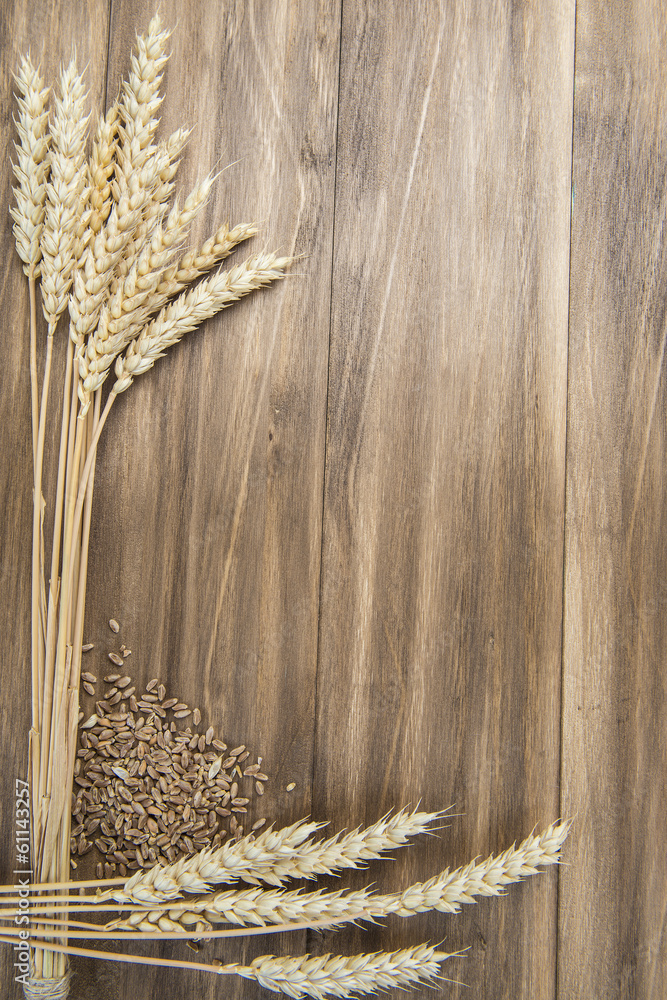 Espigas de trigo sobre un fondo de madera con espacio en blanco Stock-foto