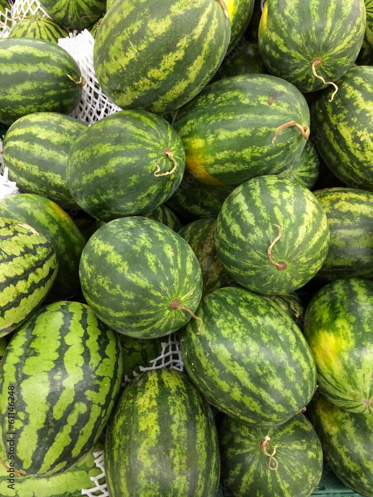 Watermelon Watermelon