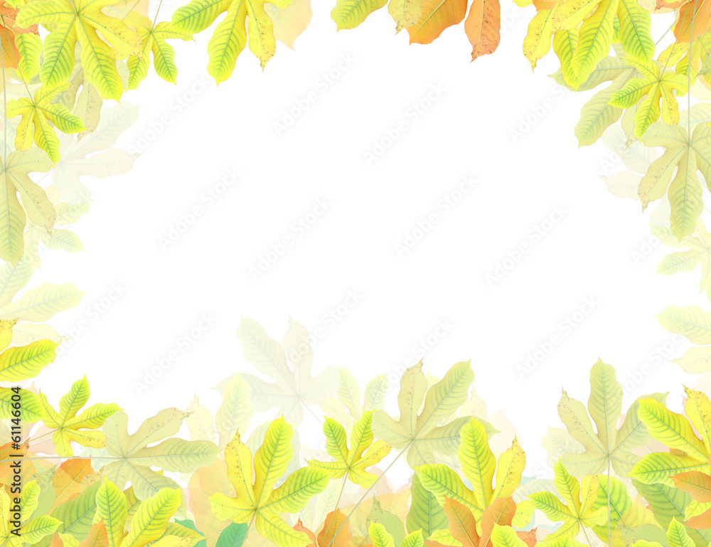 Green leaf isolated