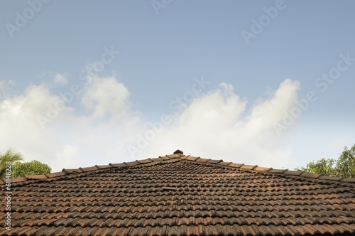 Roof tile © niteenrk