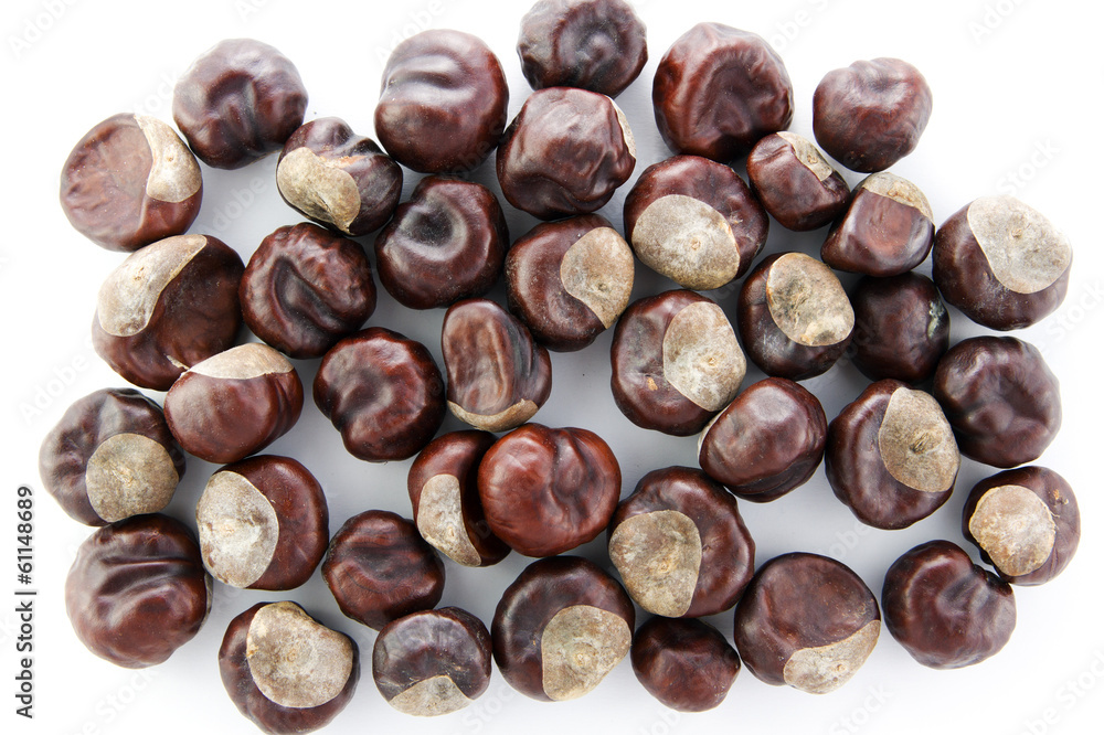 Obraz premium Chestnut isolated