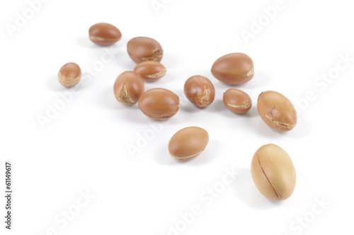 Wallpaper Mural Group of argan nuts on a white background. Torontodigital.ca