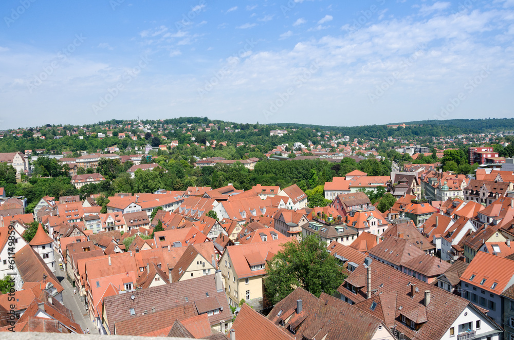 Roofs in the old town of Tuebingen, Germany