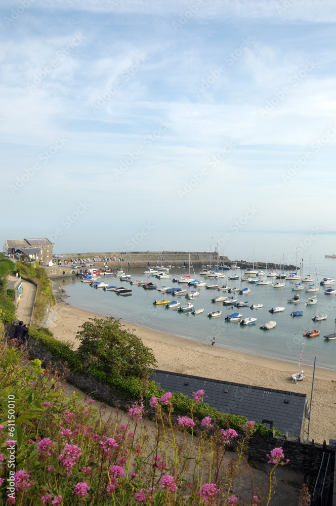 View over harbour town of New Quay on Cardigan coast