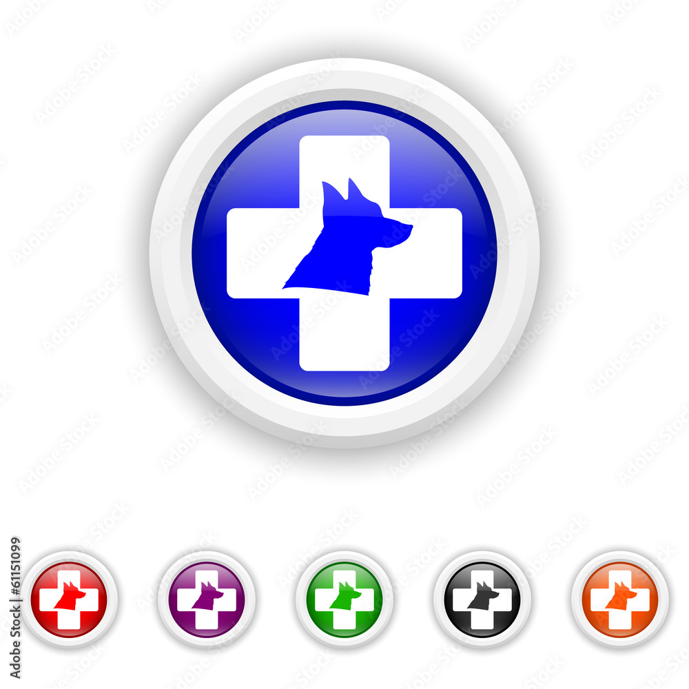 Veterinary icon - six colours set vector Veterinary icon - six colours set vector