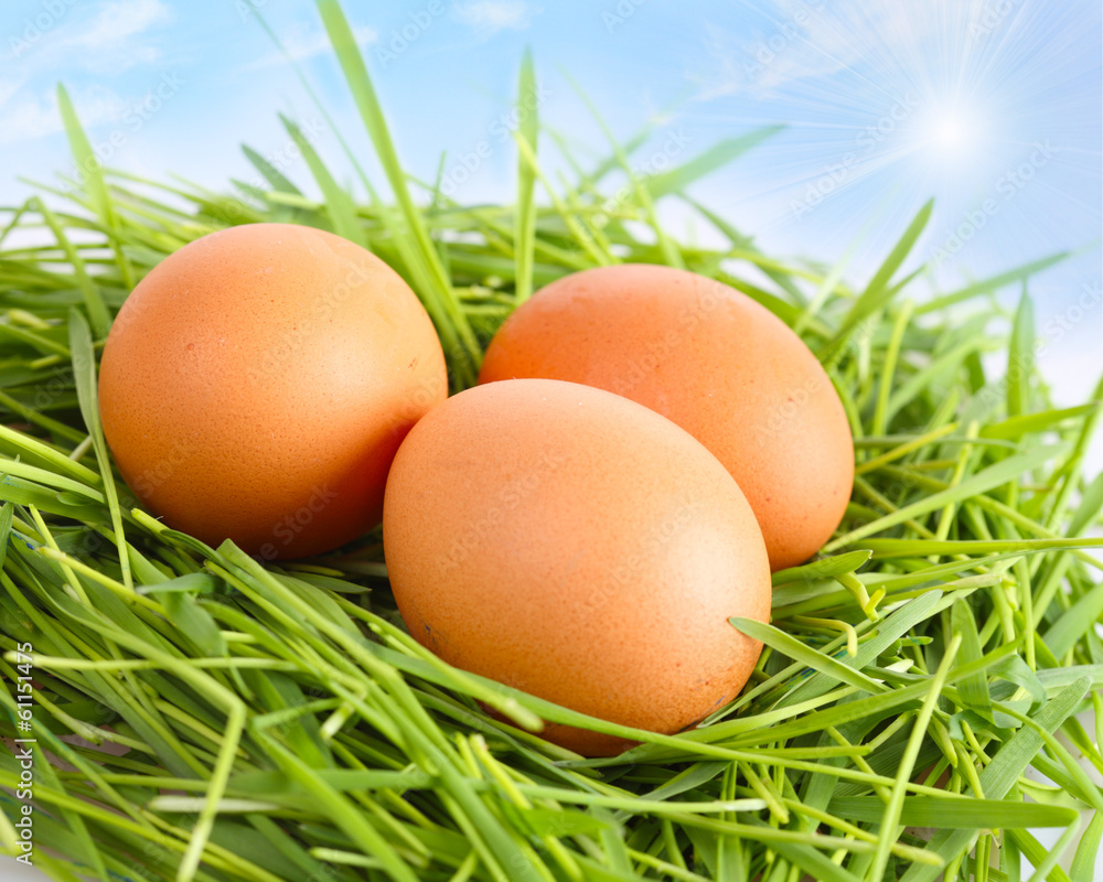 Multi-colored Easter eggs on a green grass