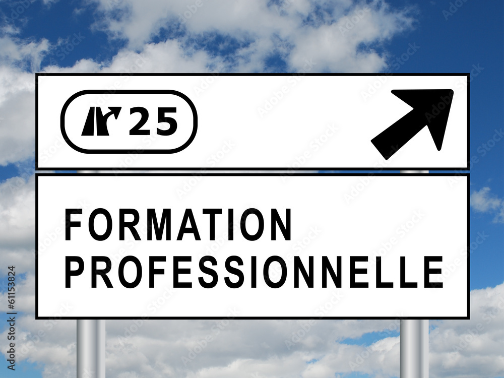 Panneau "FORMATION PROFESSIONNELLE" (études diplômes continue) Stock Illustration Adobe Stock