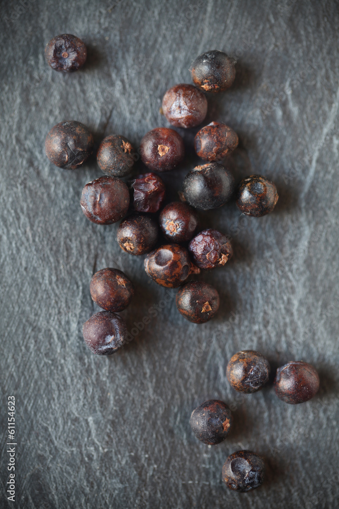 Obraz premium Juniper Berries