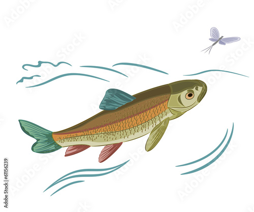 Fish caught ephemera